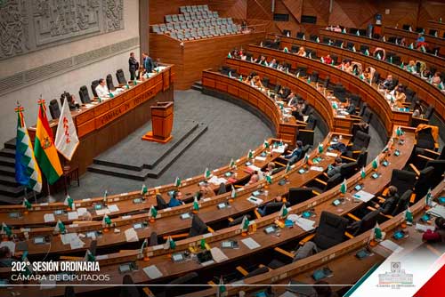 Diputados aprueba incorporación del Museo Nacional de Arqueología a la Fundación Cultural del BCB