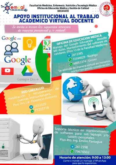 APOYO INSTITUCIONAL AL TRABAJO ACADEMICO VIRTUAL DOCENTE
