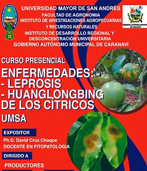 CURSO: 
