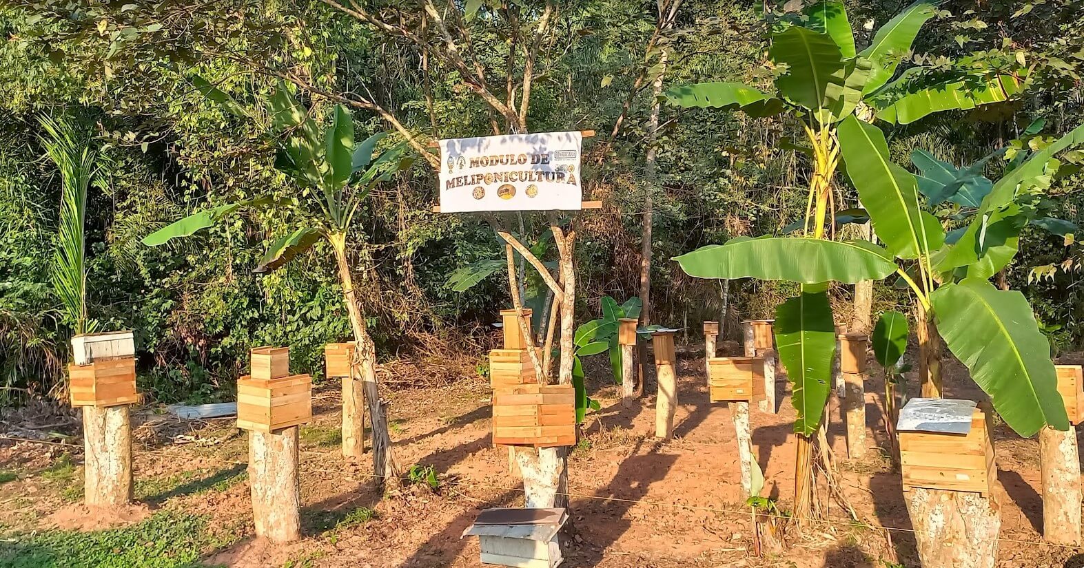 Meliponario modelo implementado en Estación Experimental de Sapecho