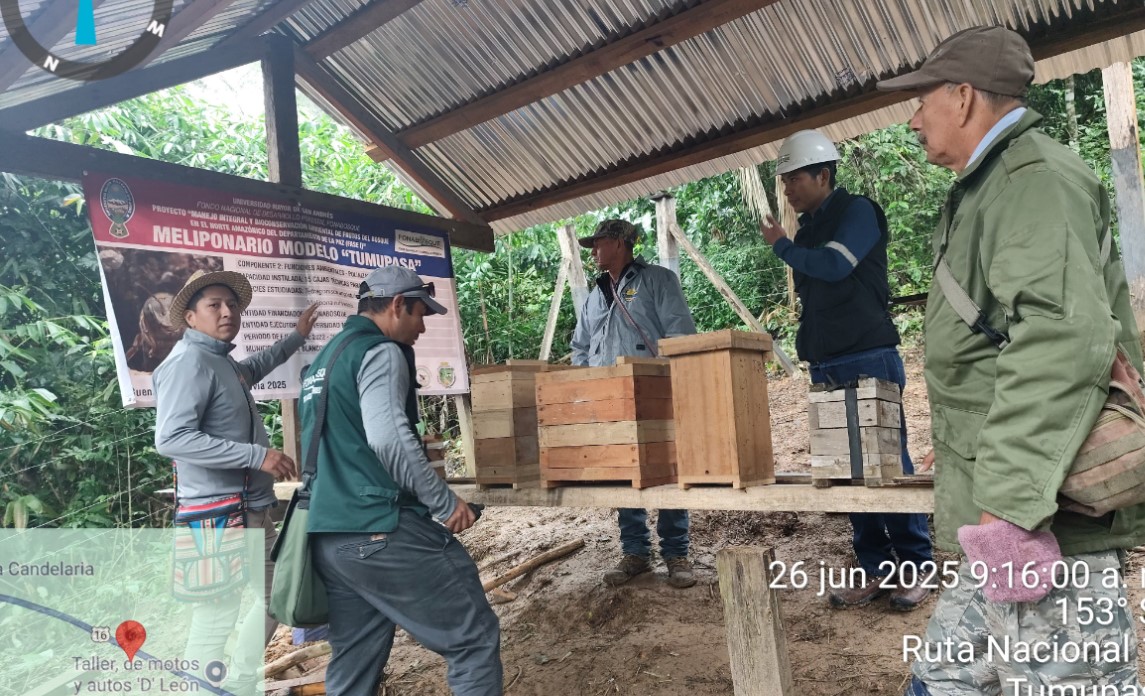 Inspección de FONABOSQUE a meliponario modelo de Tumupasa