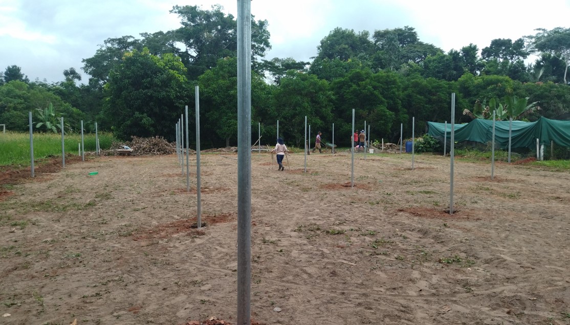 Implementación de Vivero agroforestal con capacidad de 20.000 plantines en la Estación Experimental de Sapecho