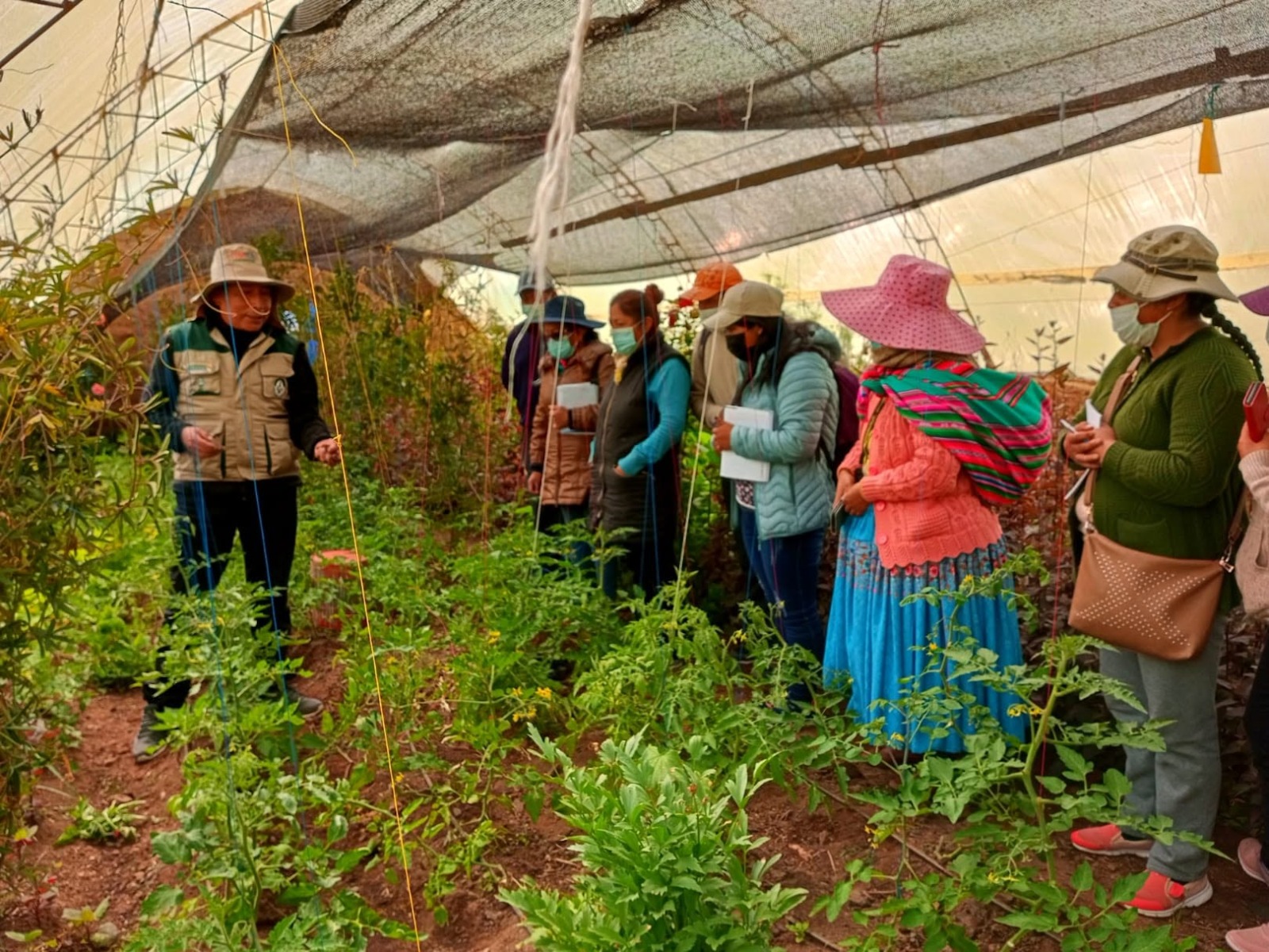 La UMSA respalda con investigación el cultivo de 66 especies en ciudades de altura