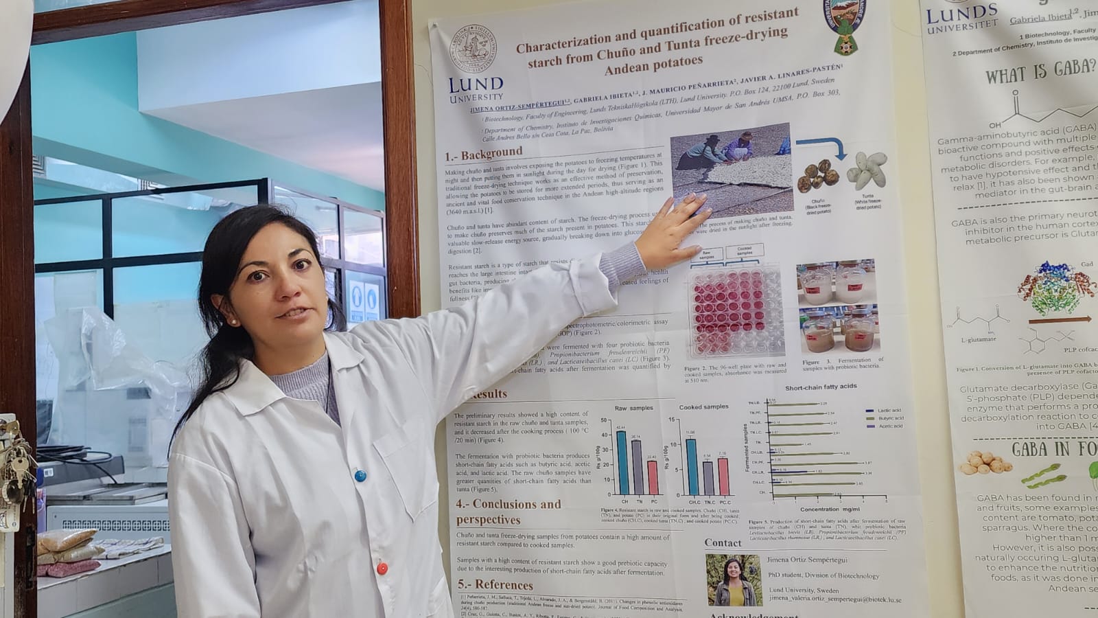 Investigación de la UMSA revela el potencial del chuño y la tunta para cuidar la salud intestinal