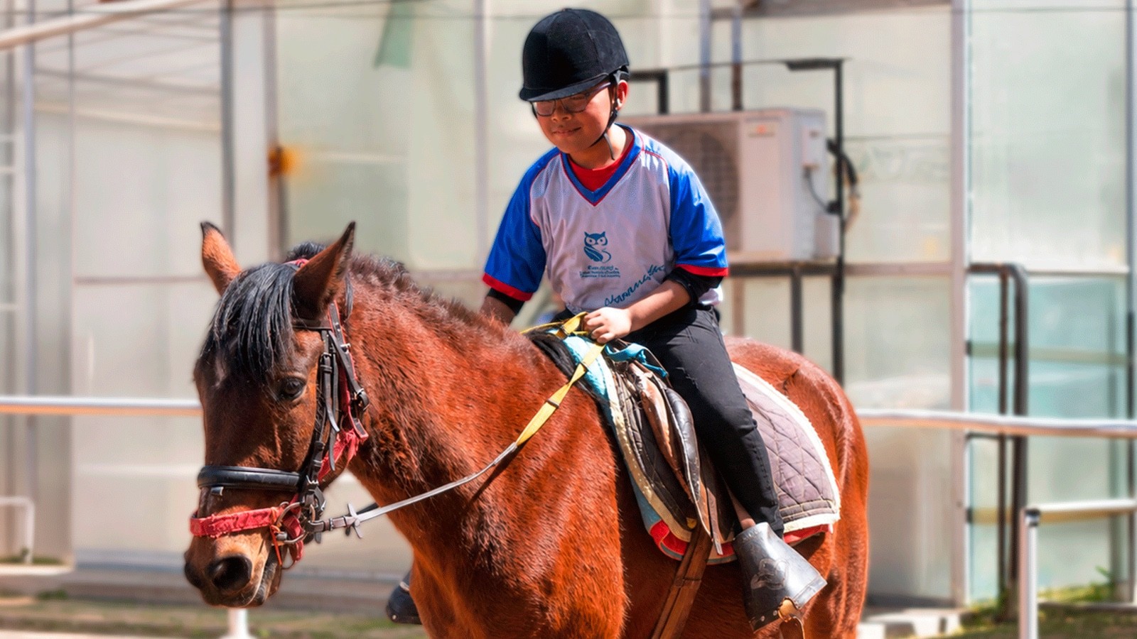 Caballos que ayudan a sanar vuelven a recibir a niños, jóvenes y abuelos en la UMSA