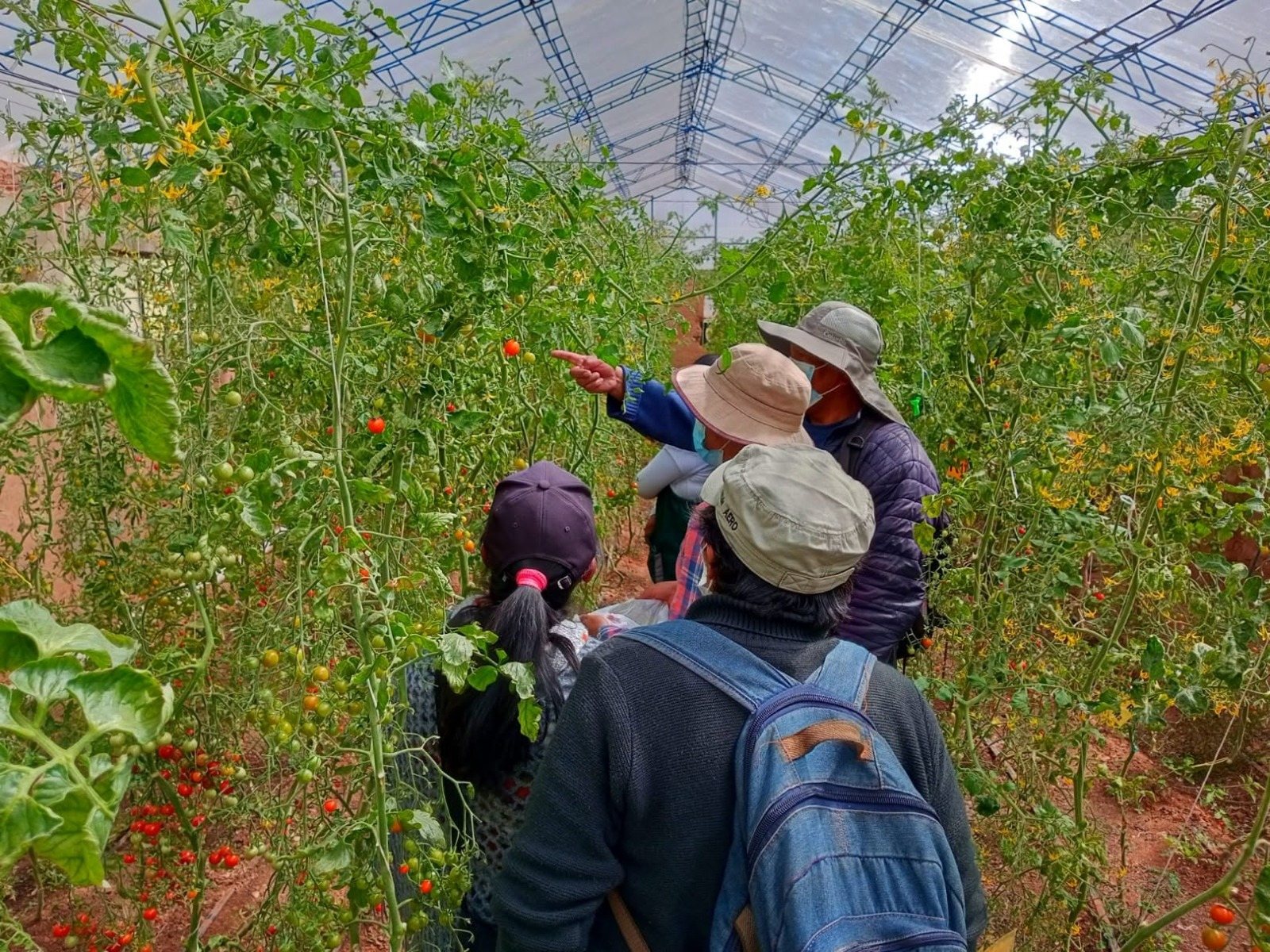 Compost, bioinsumos y microvegetales: la UMSA abre un curso gratuito de agricultura urbana